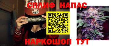 стаф Кулебаки