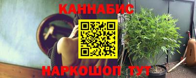стаф Кулебаки