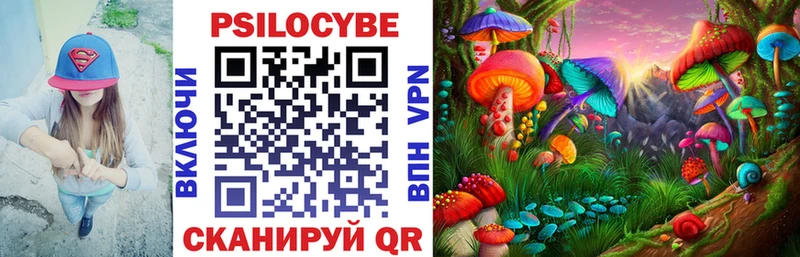 магазин продажи   Дубна  Псилоцибиновые грибы Psilocybine cubensis 