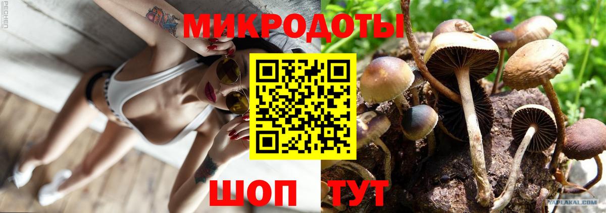 где купить наркоту  Вход с VPN  Дубна  Галлюциногенные грибы Magic Shrooms 
